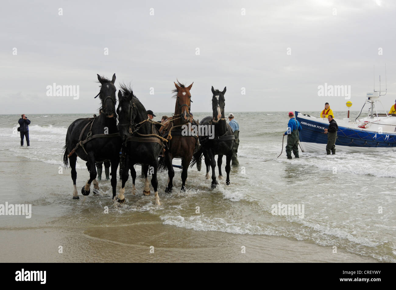 Horses pulling boat hires stock photography and images Alamy