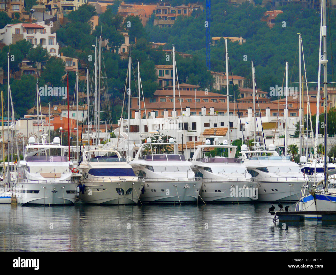 harbor with yachts, Spain, Majorca, Port Andratx Stock Photo