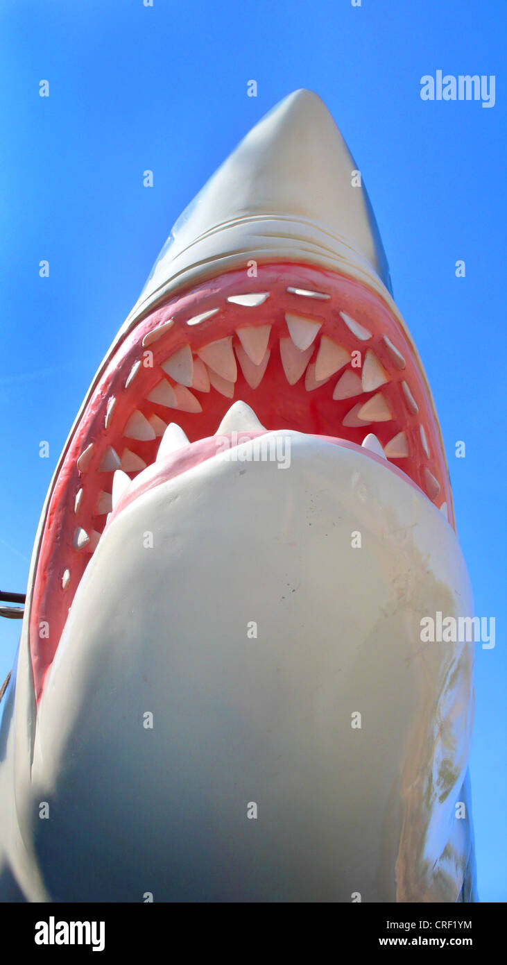 great white shark (Carcharodon carcharias, Carcharodon rondeletii), mouth, dummy on a children�s playground Stock Photo