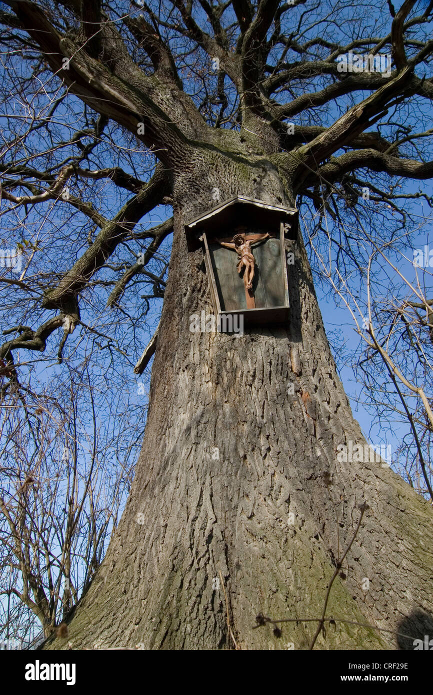 shrine on an oak, Germany, Bavaria, Bad Aibling Stock Photo