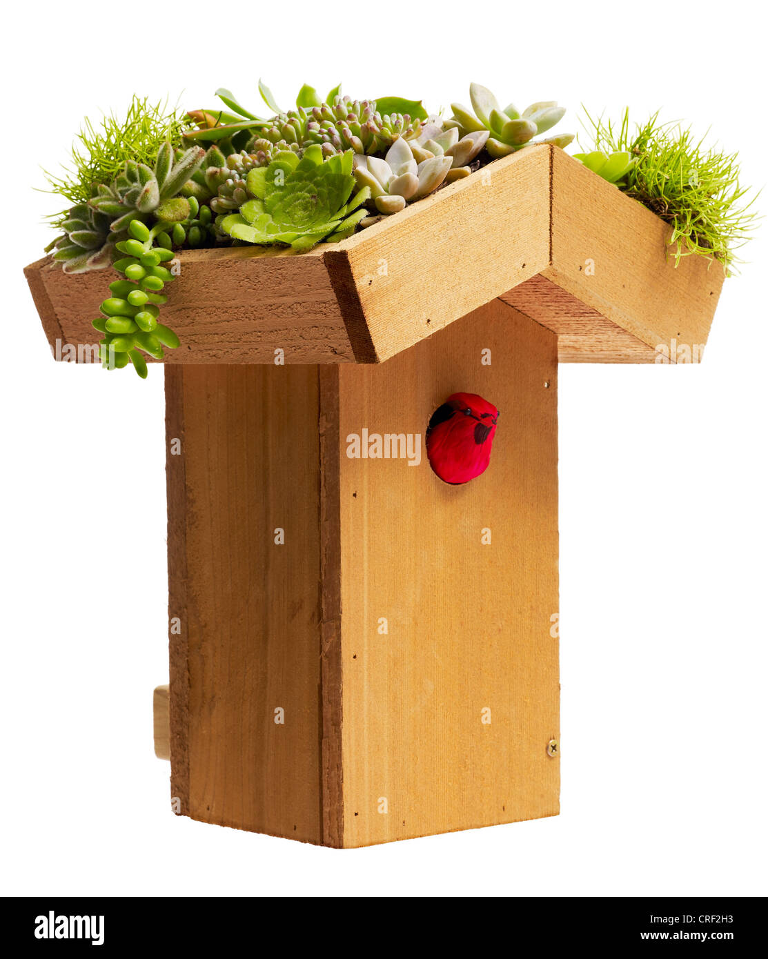 Birdhouse with living roof. Various succulents Stock Photo