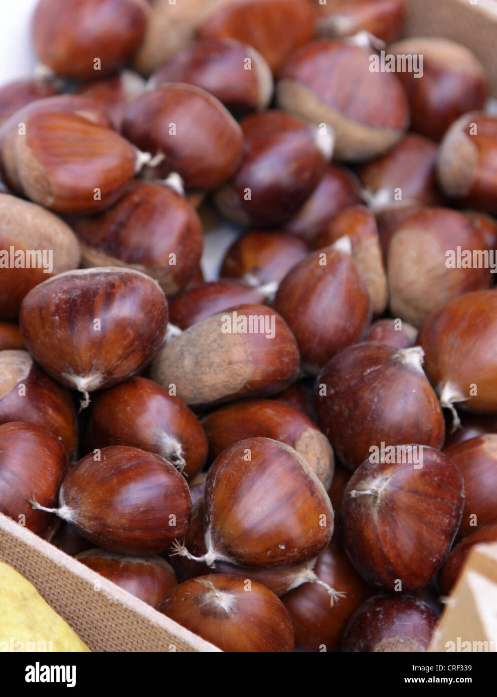 Fresh Chestnuts Stock Photo