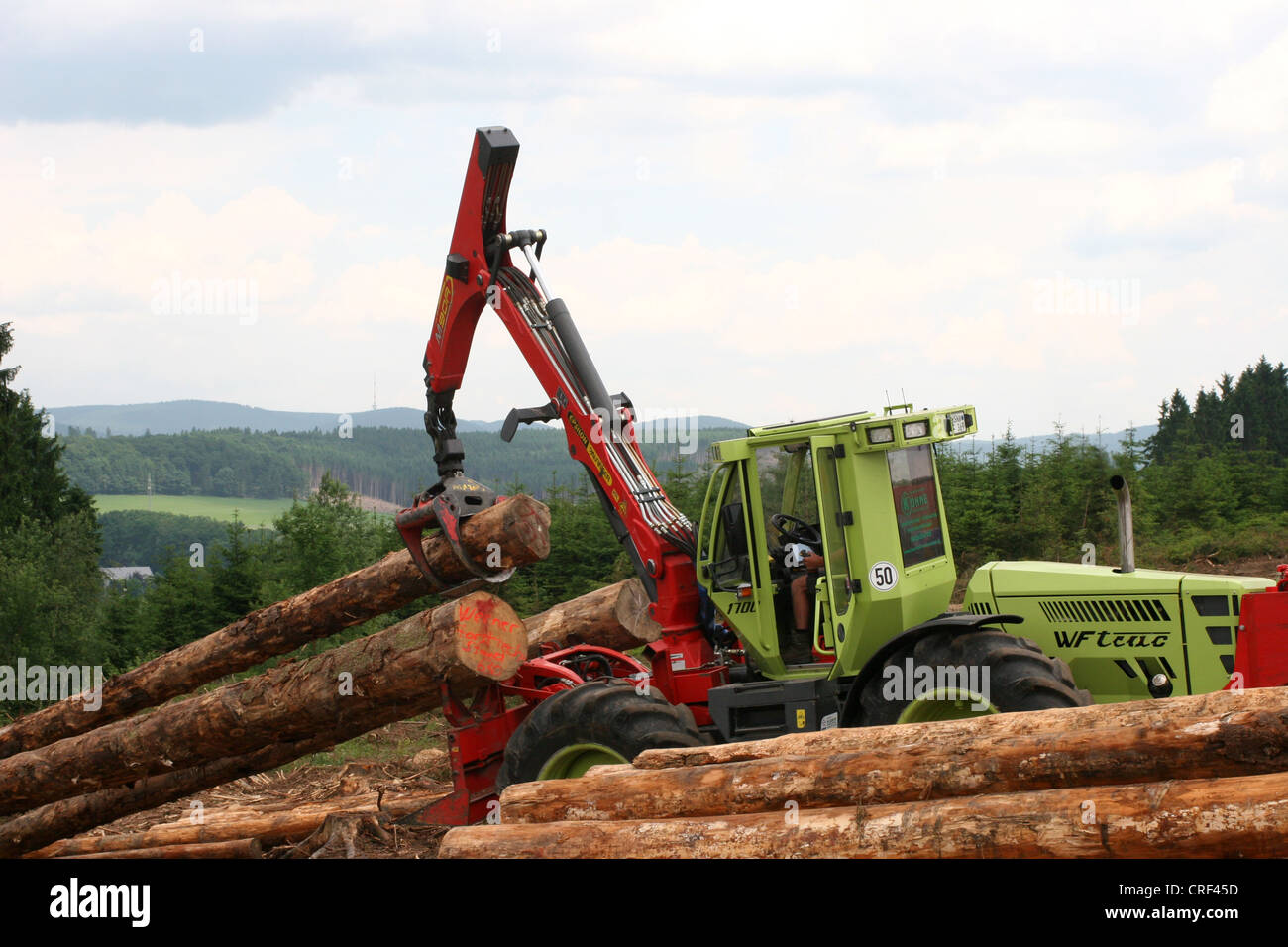 Norway spruce (Picea abies), harvester handling spruce logs, Germany, North Rhine-Westphalia, Sauerland Stock Photo