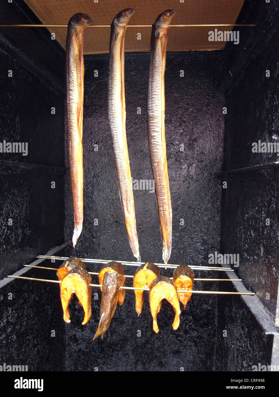 cured eels and cured salmons, Germany, Mecklenburg-Western Pomerania Stock Photo