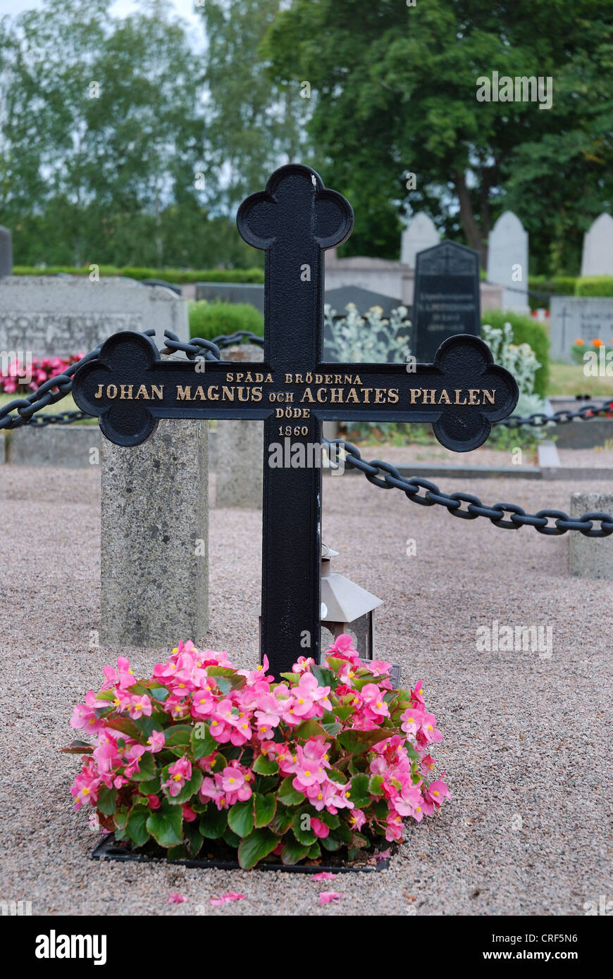 impatiens, Busy Lizzy (Impatiens walleriana), grave of two brothers, Astrid Lindgrens inspiration for Brothers Lionheart, Sweden, Smaland, Vimmerby Stock Photo