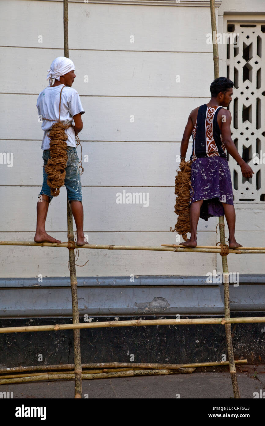 Myanmar, Burma, Yangon. Men Working on Bamboo Scaffolding. Stock Photo