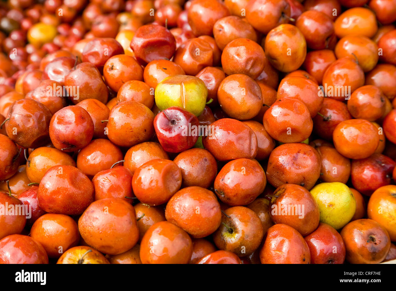 Myanmar, Burma, Yangon. Burmese Plums at Street Vendor's Stand Stock Photo Alamy