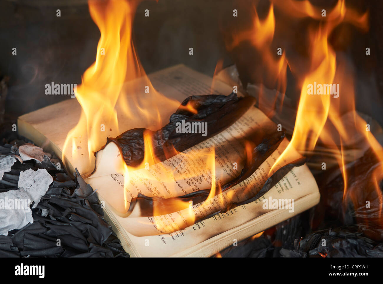 Books burning in fire Stock Photo