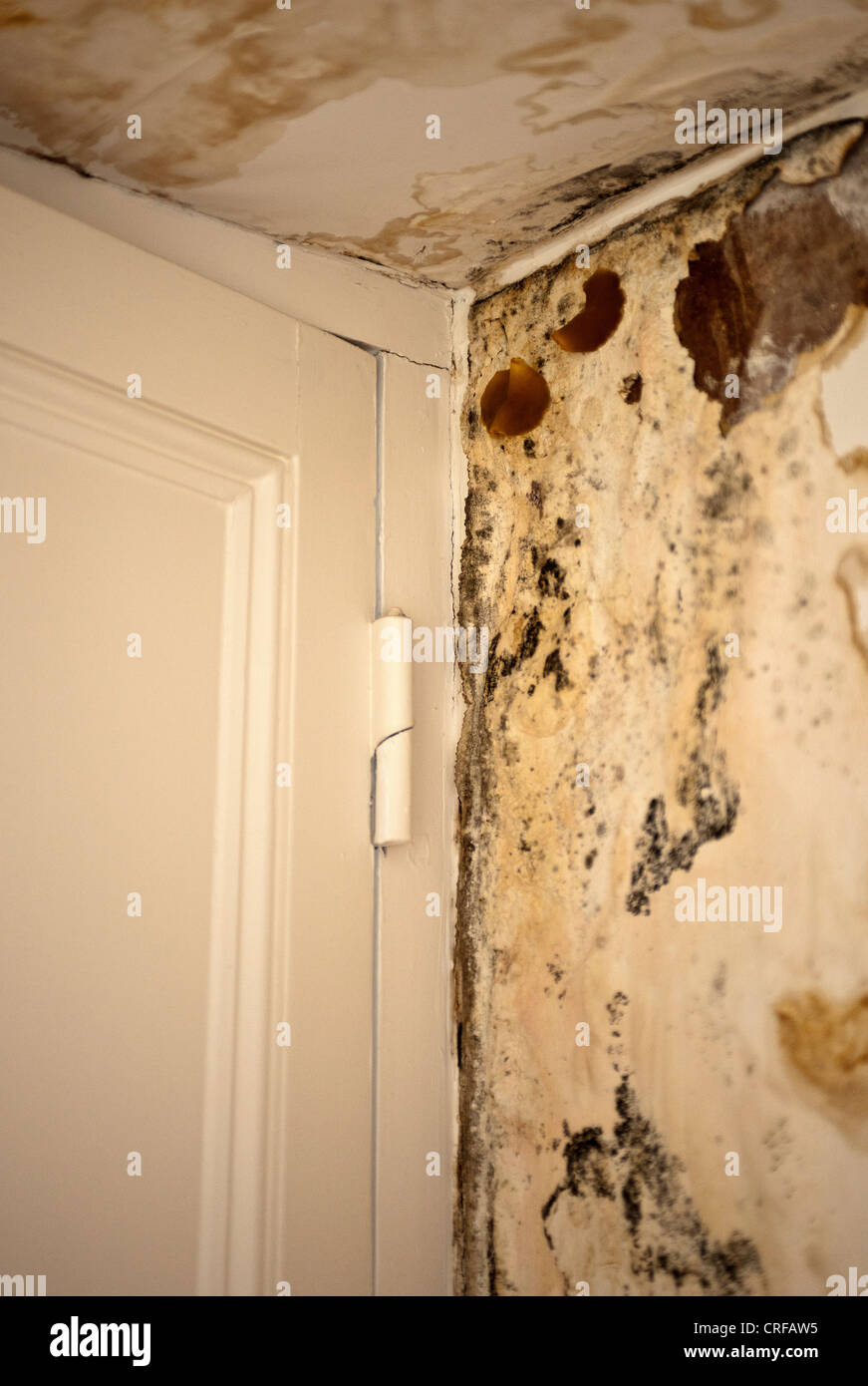 Mold and water damage to interior wall Stock Photo