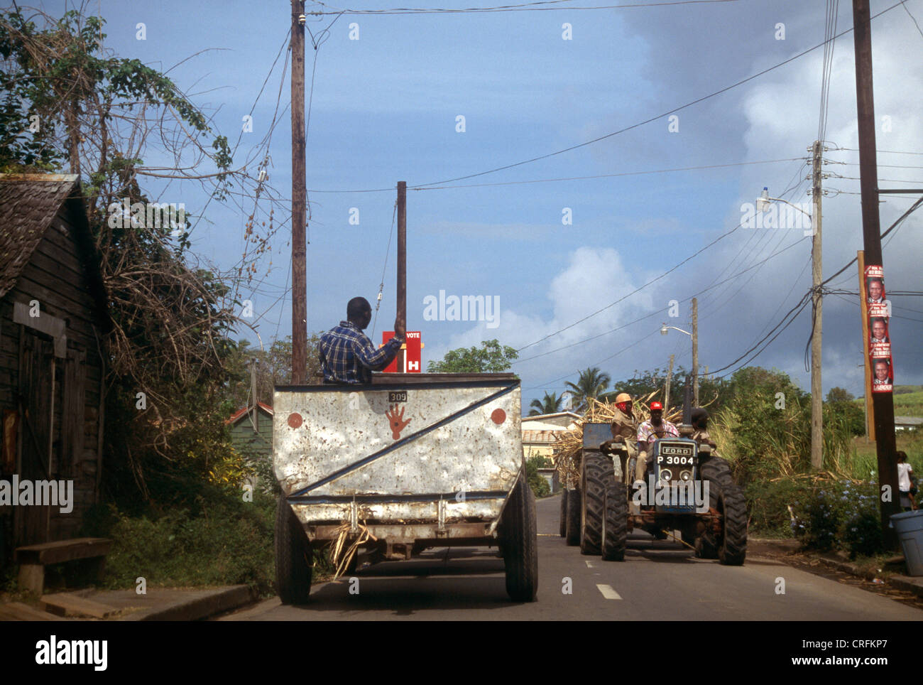 St Kitts Men On Tractor After Harvesting Sugar Cane Stock Photo Alamy