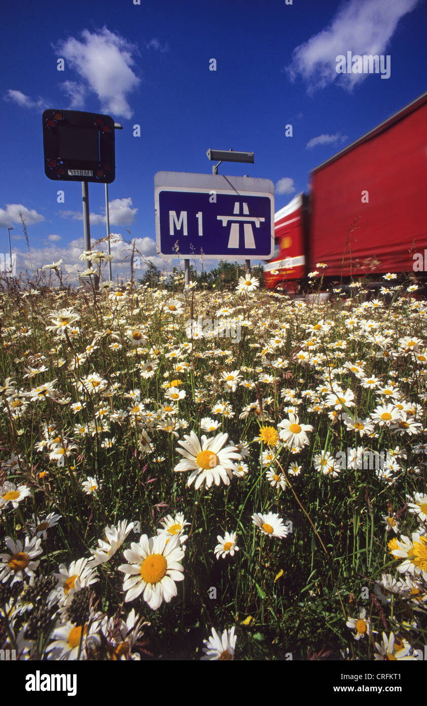 lorry passing road sign stating start of M1 motorway surrounded by wild flowers near Leeds Yorkshire UK Stock Photo