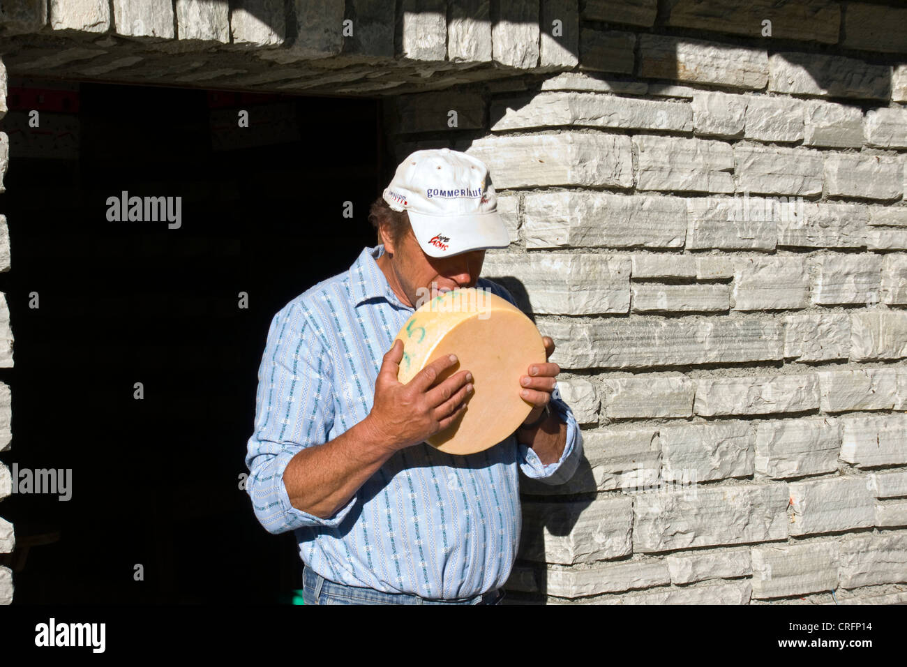 traditional cheese production proud man smelling at a cheese wheel