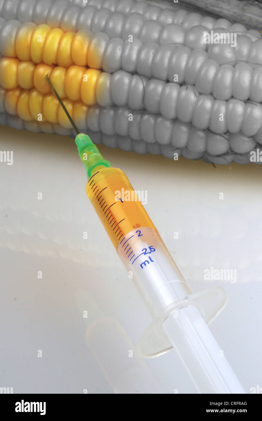 a corncob and an injection Stock Photo - Alamy