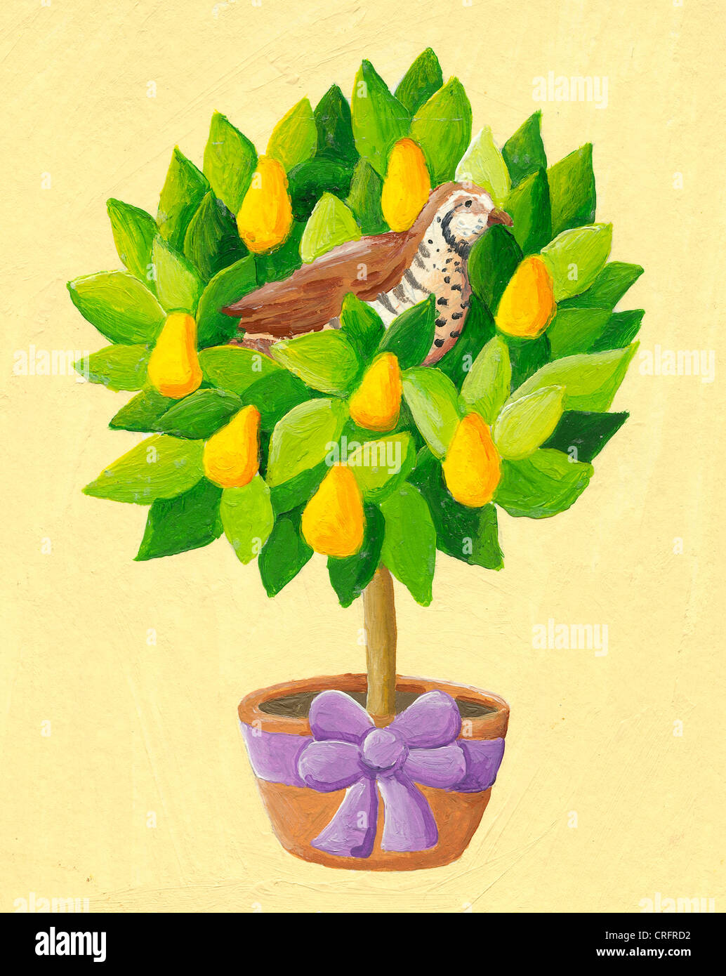 Acrylic illustration of a partridge in a pear tree Stock Photo