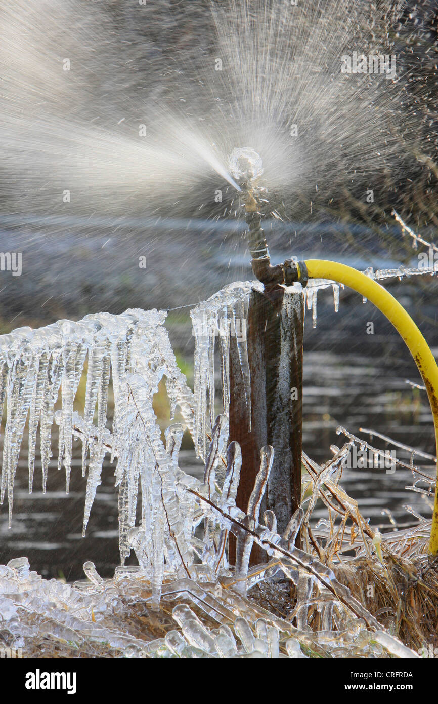 sprinkler irrigation with ice, Germany, NRW Stock Photo