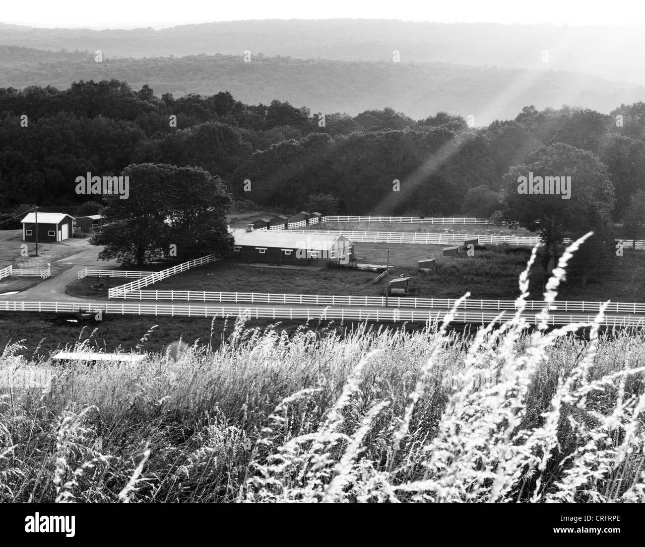Horsebarn hill hires stock photography and images Alamy