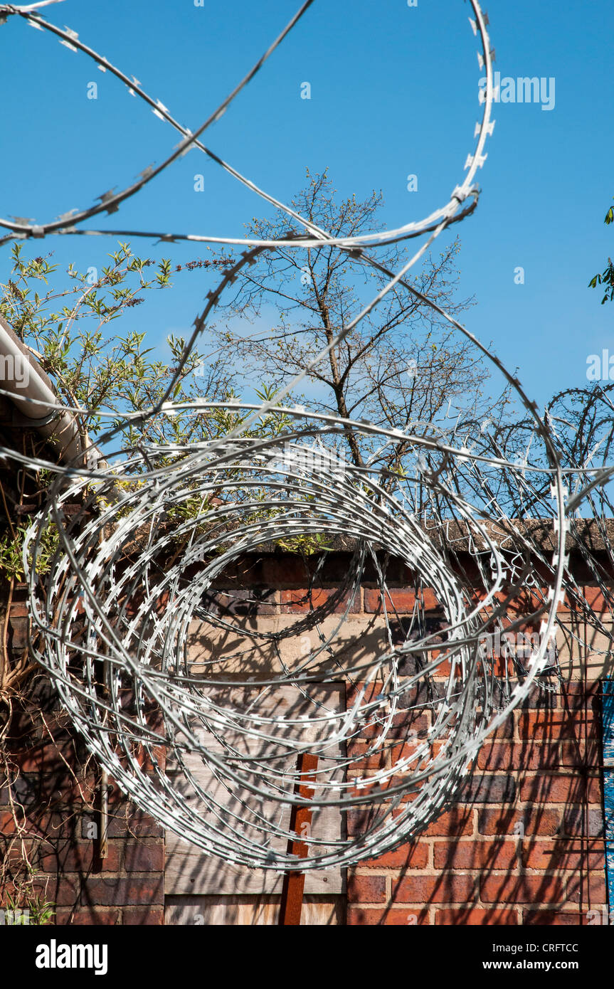Coiled razor wire around wall of building Stock Photo - Alamy