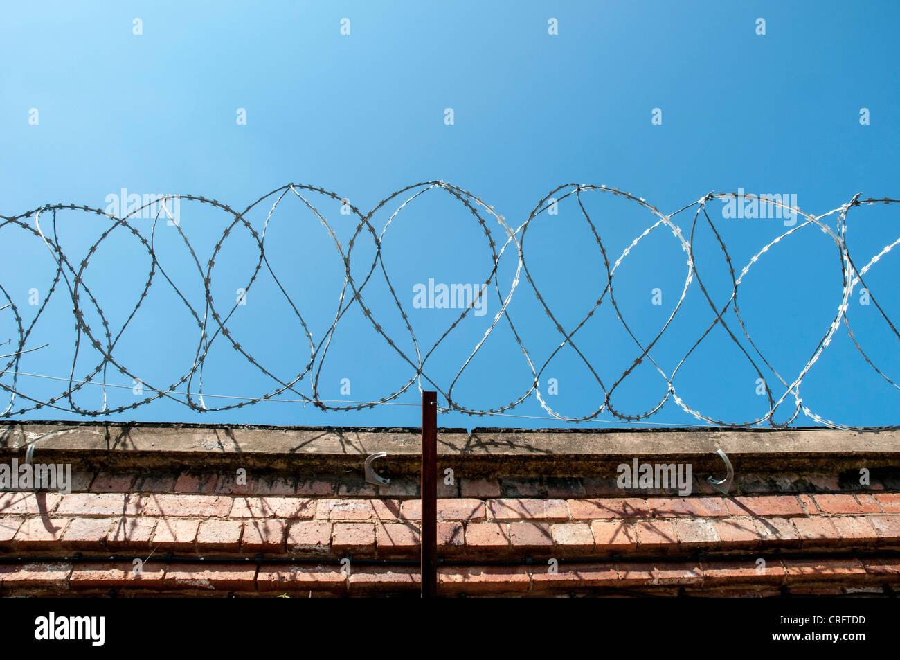 Coiled razor wire on perimeter of wall against blue sky Stock Photo - Alamy