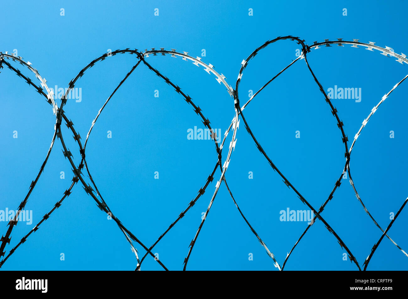 Coiled razor wire against blue sky Stock Photo - Alamy
