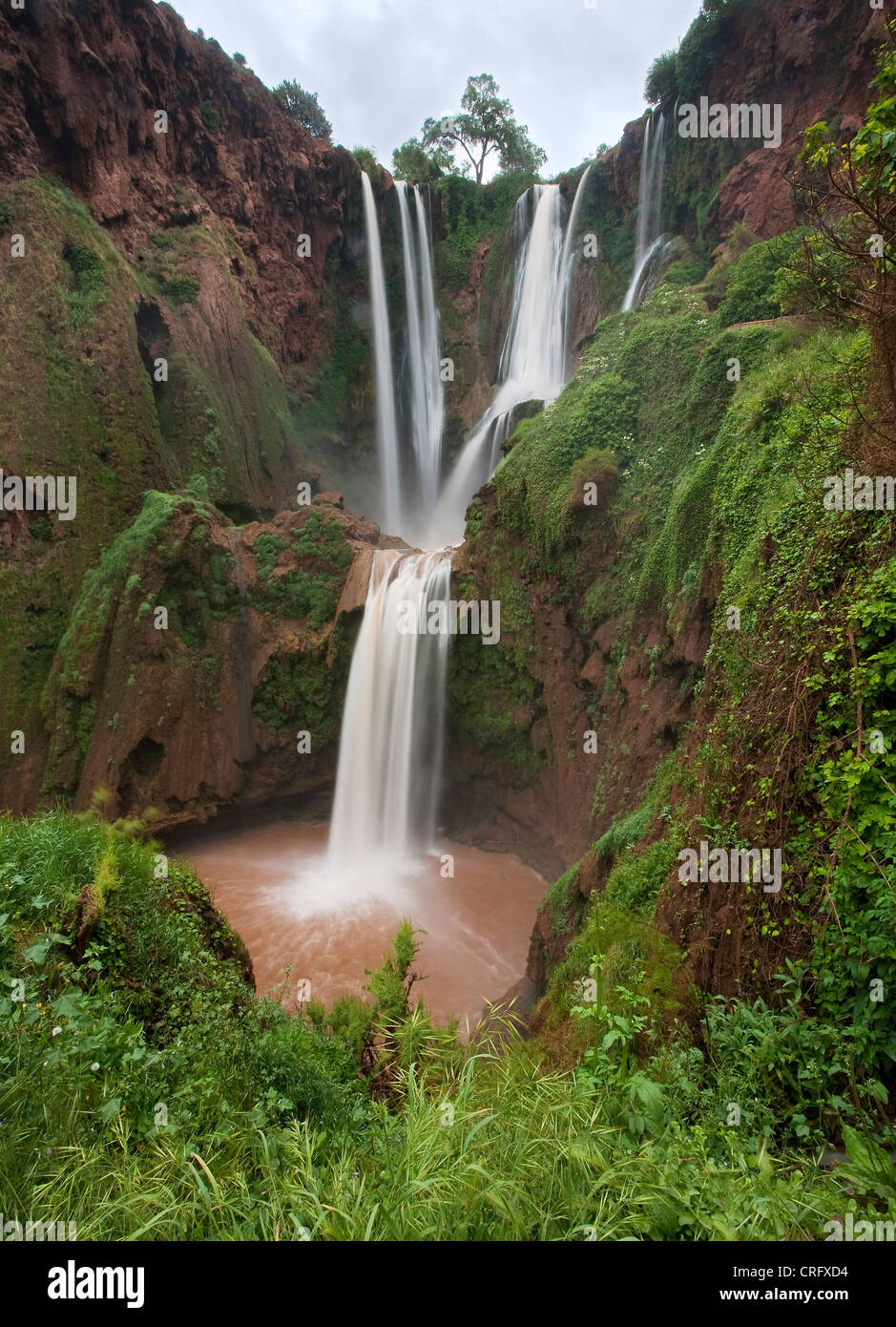 Cascades d'Ouzoud waterfall, El Abid river, Middle Atlas mountains, Morocco, Northern Africa. Stock Photo