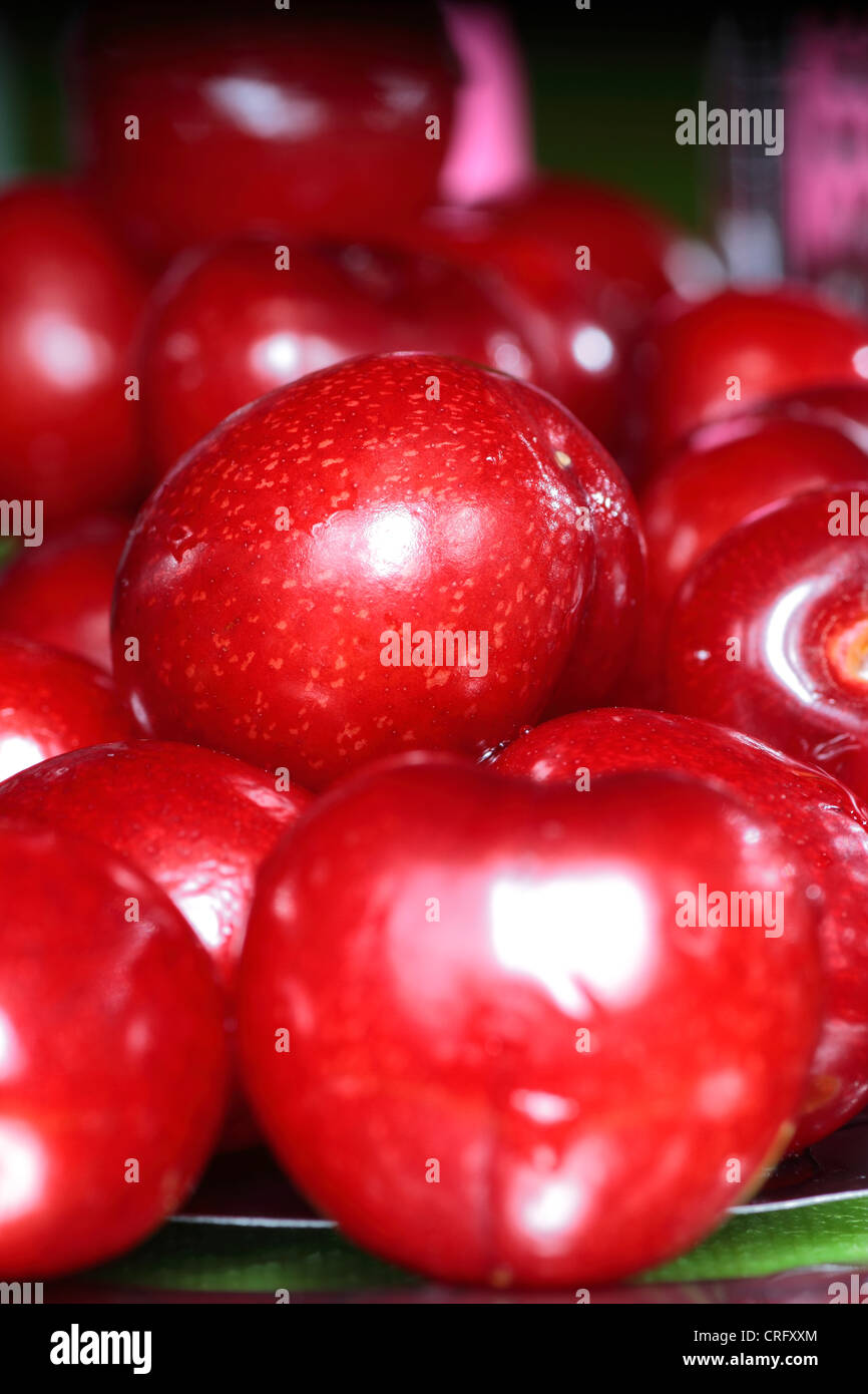 perfect sweet cherries Stock Photo