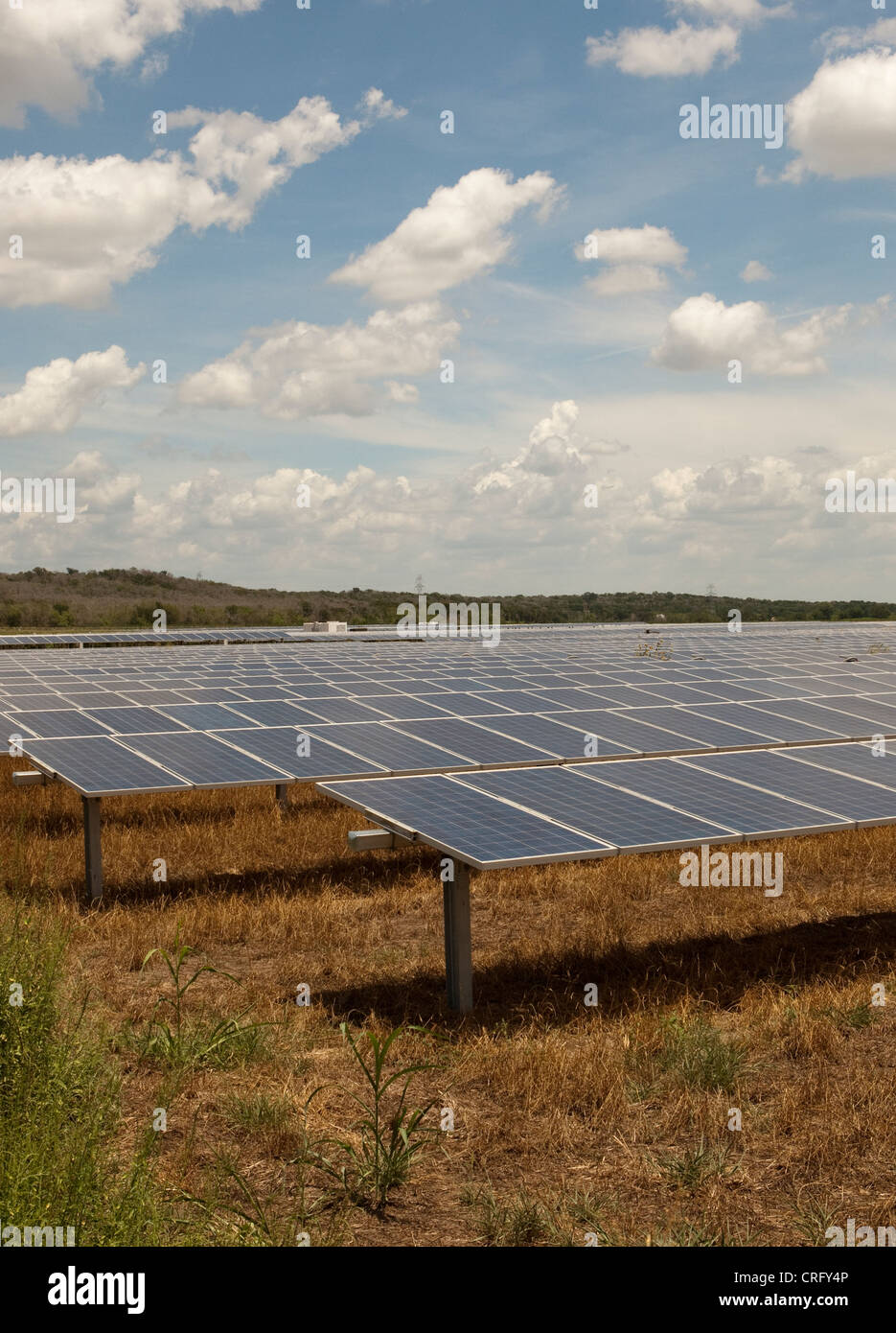 solar panels in Texas. Facility on 380 acres will produce over 50,000 MWH of emission free power annually to power 5000 homes Stock Photo