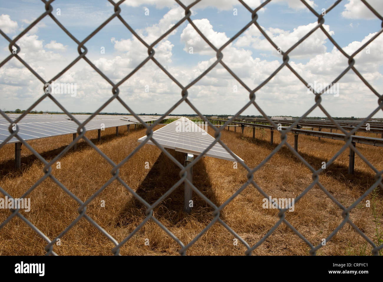solar panels at farm in Texas seen through chain link fence produces