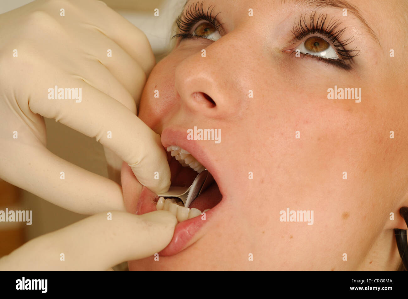 Dentist prepares a young female's mouth for an x-ray. Stock Photo