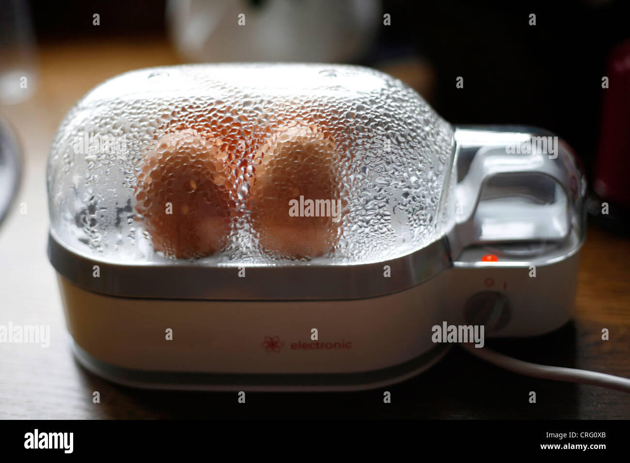 16,900+ Egg Cooker Stock Photos, Pictures & Royalty-Free Images