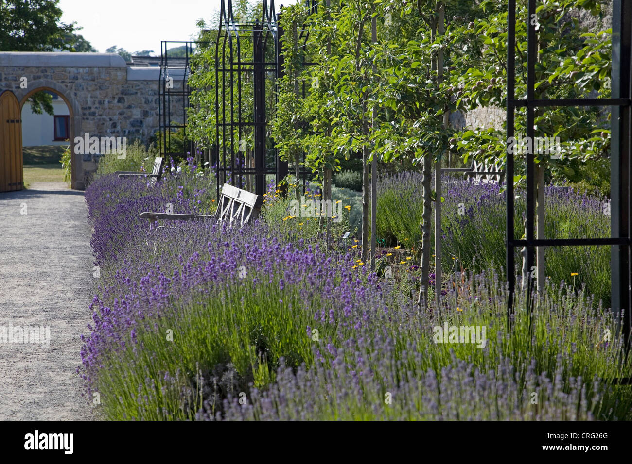 Cowbridge Physic Garden, Vale of Glamorgan Stock Photo