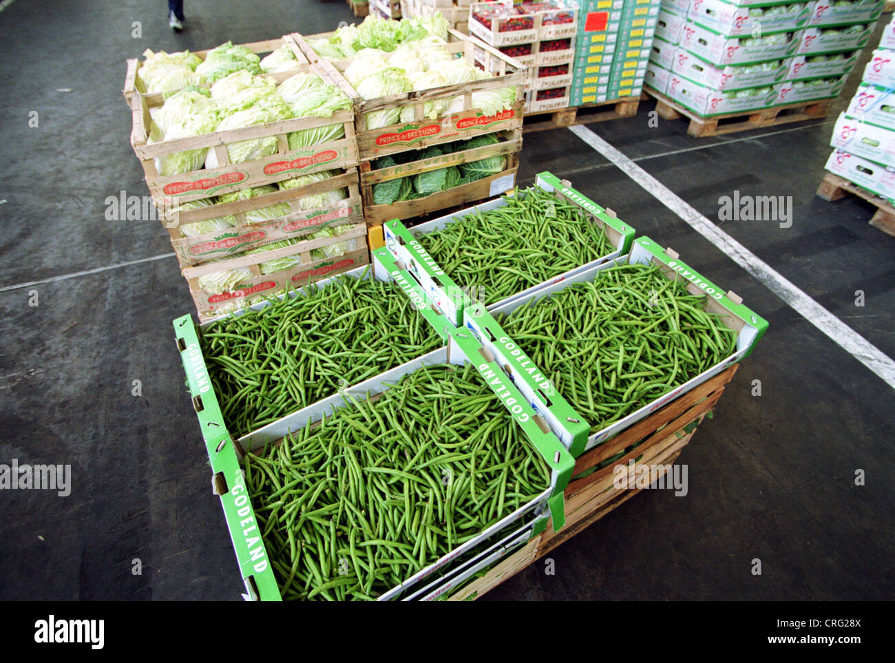 Boxes of beans and Salatkoepfen Stock Photo Alamy
