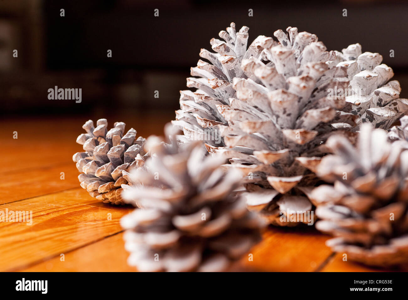Close up of painted pine cones Stock Photo
