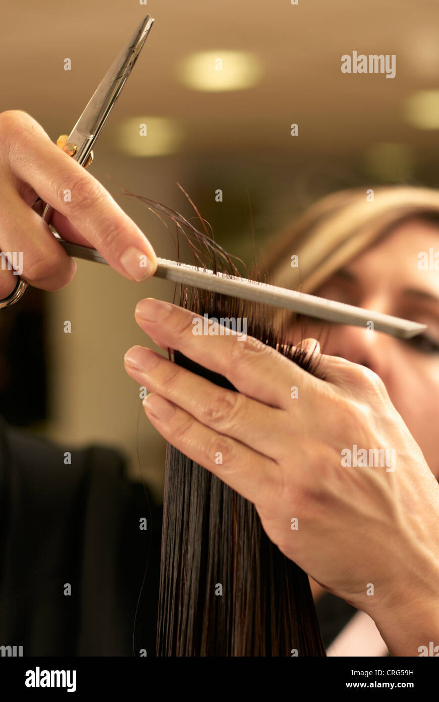 Hair stylist cutting clients hair Stock Photo Alamy