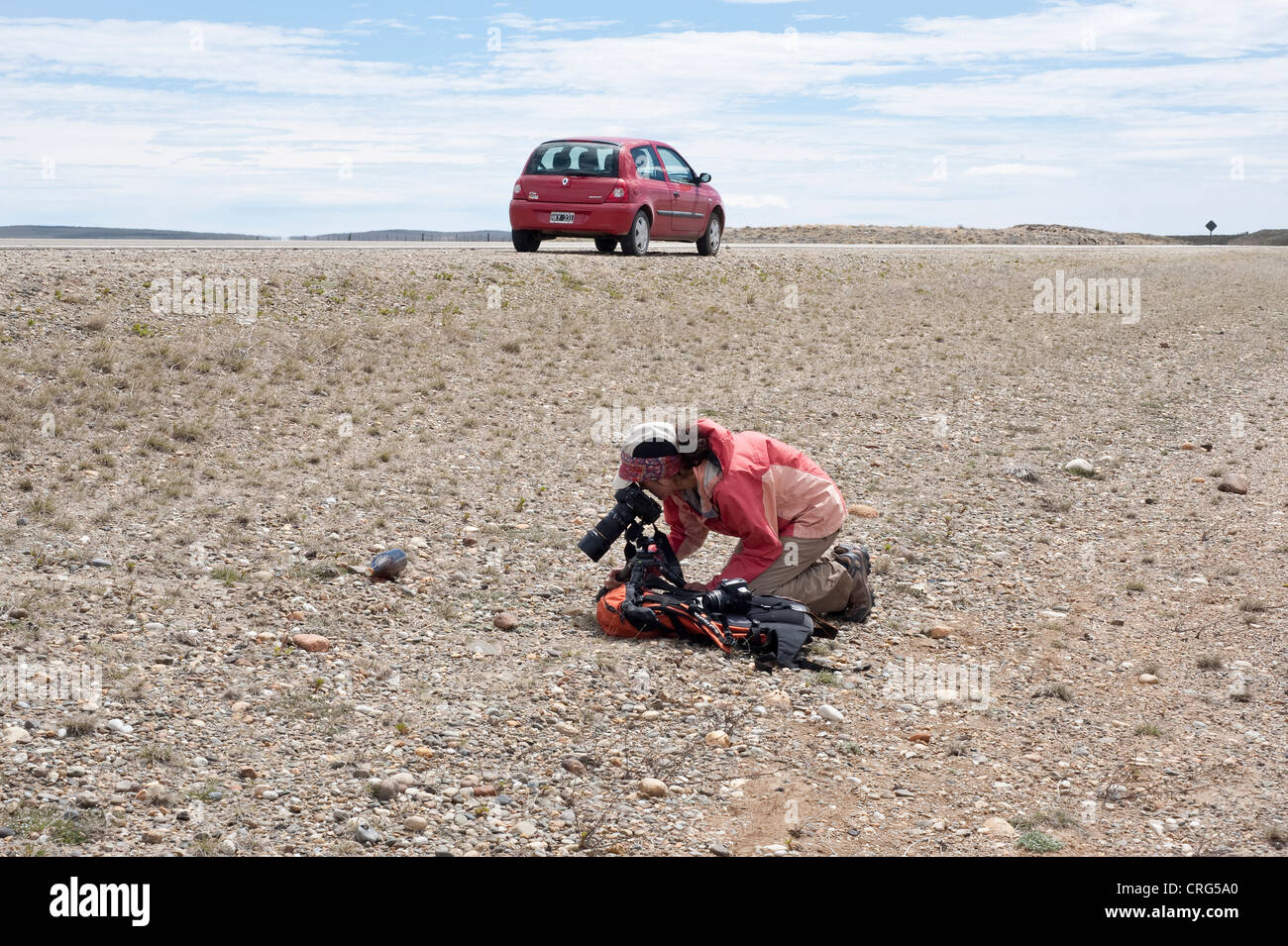 Biologist  Claudia Marcela Guerrido photographing plants on Patagonian steppe next to route 40 Argentina south America Stock Photo