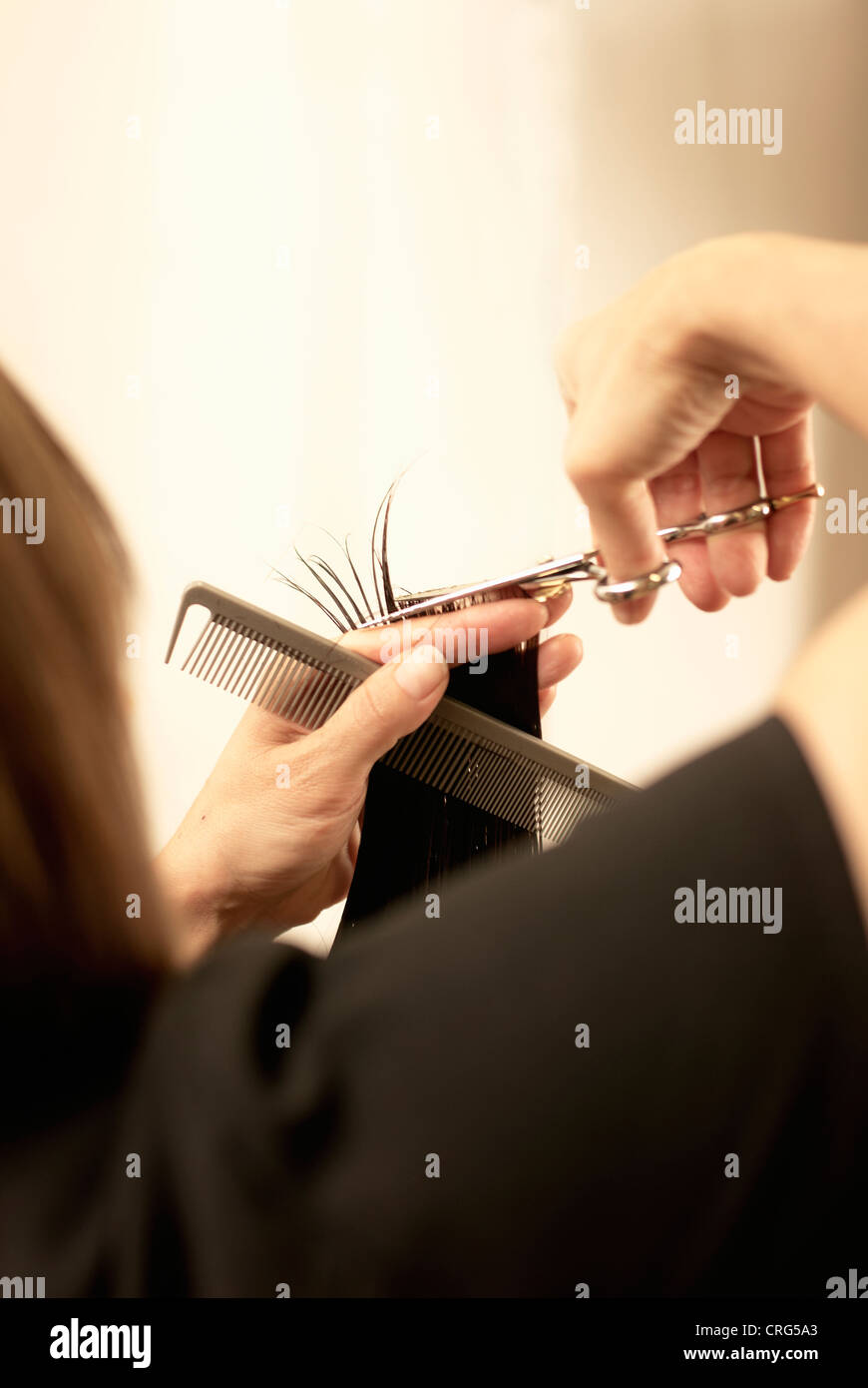 Hair stylist cutting clients hair Stock Photo Alamy