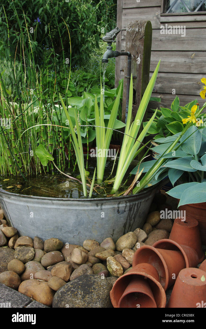 Arrangement of pots, pebbles and plants outside a garden shed, UK Stock