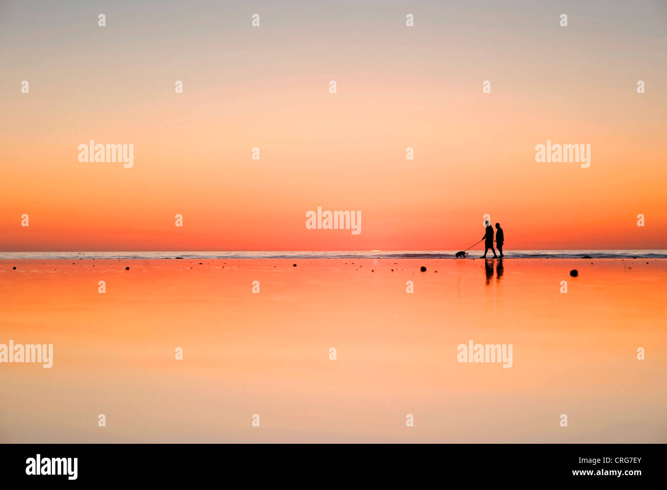 Silhouetted figures walk their dog on wet sand beside the ocean at sunset. Stock Photo