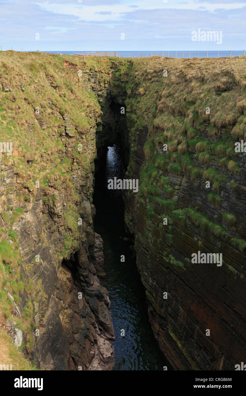 The Gloup collapsed sea cave at Mull Head Nature Reserve at Deerness Orkney Islands Scotland UK Stock Photo