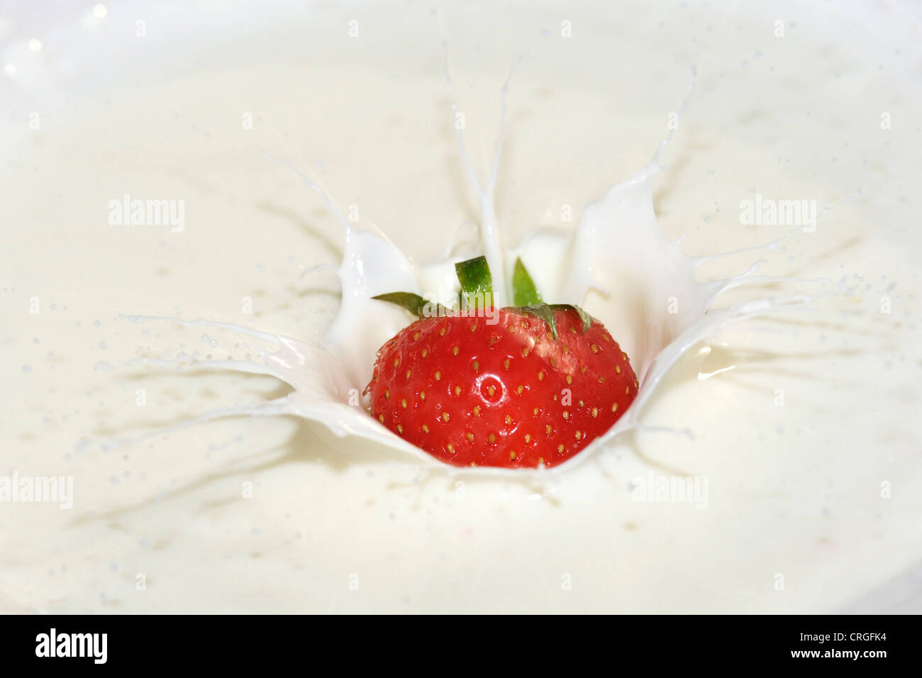 strawberry falling into milk Stock Photo