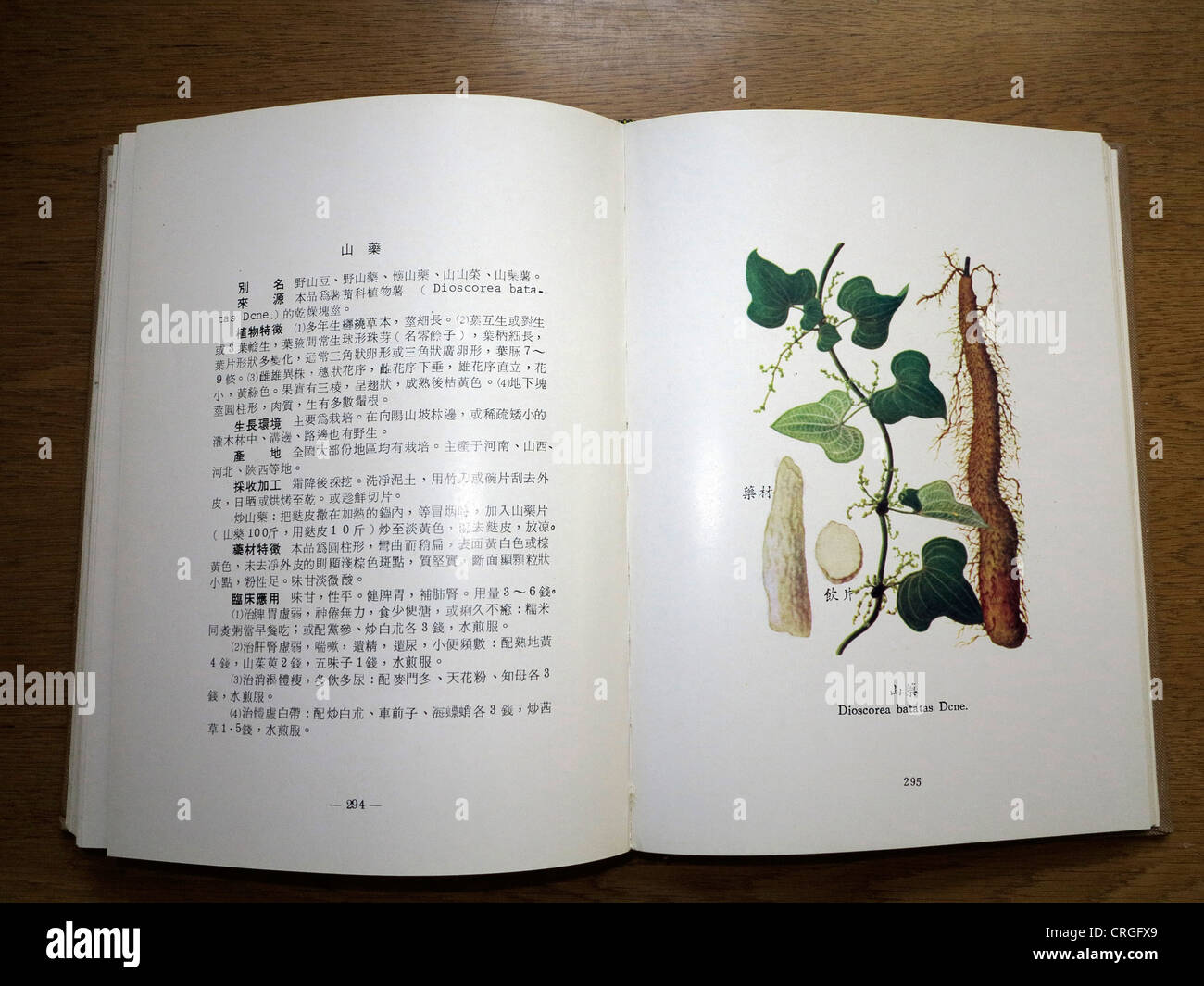 Chinese Compendium of Materia Medica Dioscorea Batatas Dcne Stock Photo