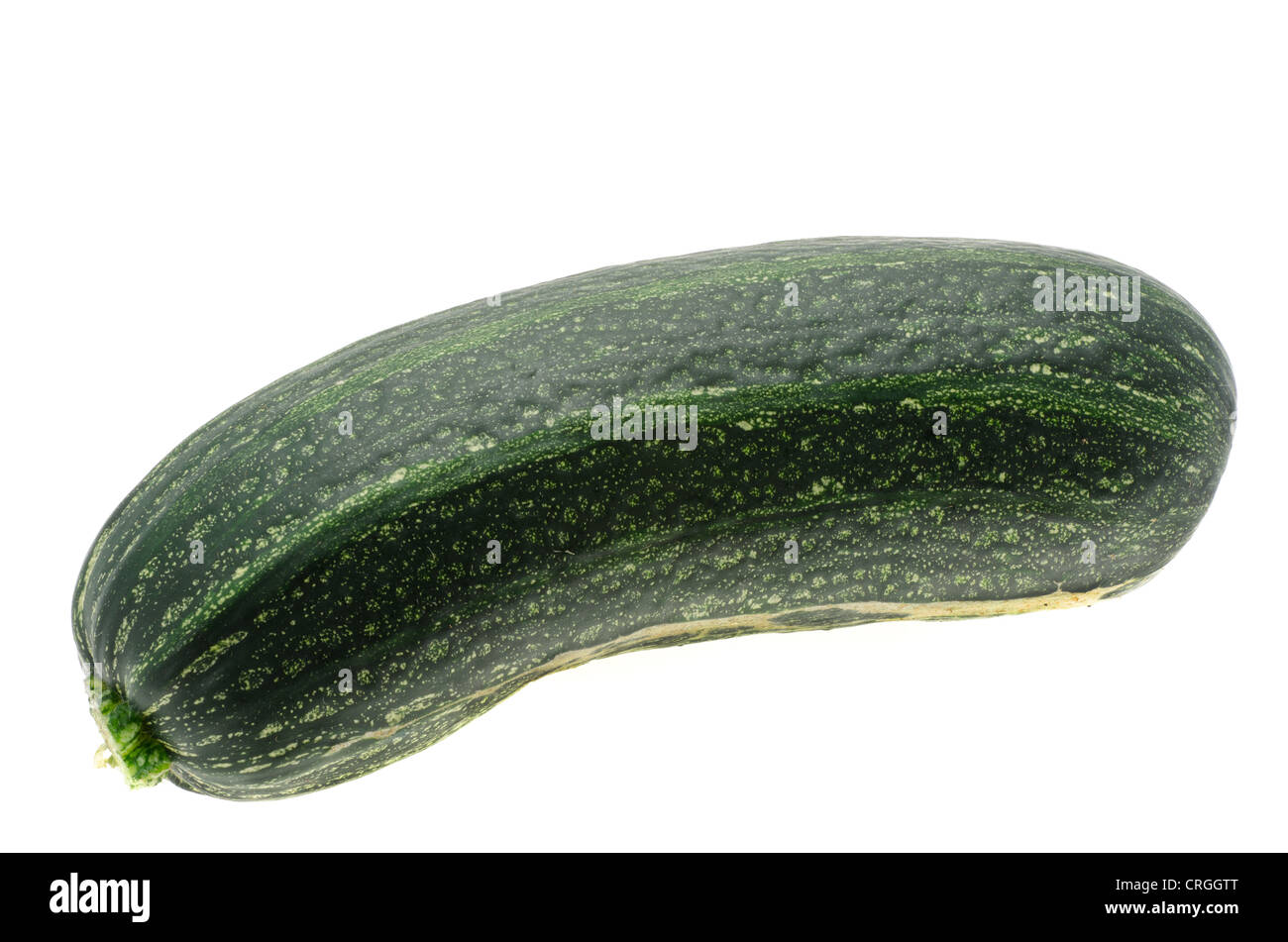 Fresh marrow or summer squash - studio shot with a white background Stock Photo