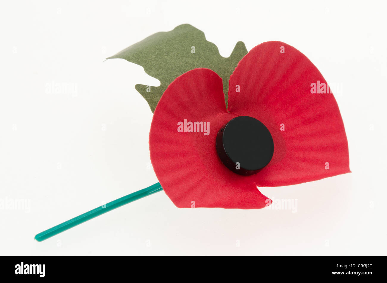 Worn Remembrance day poppy lying on its side Stock Photo Alamy