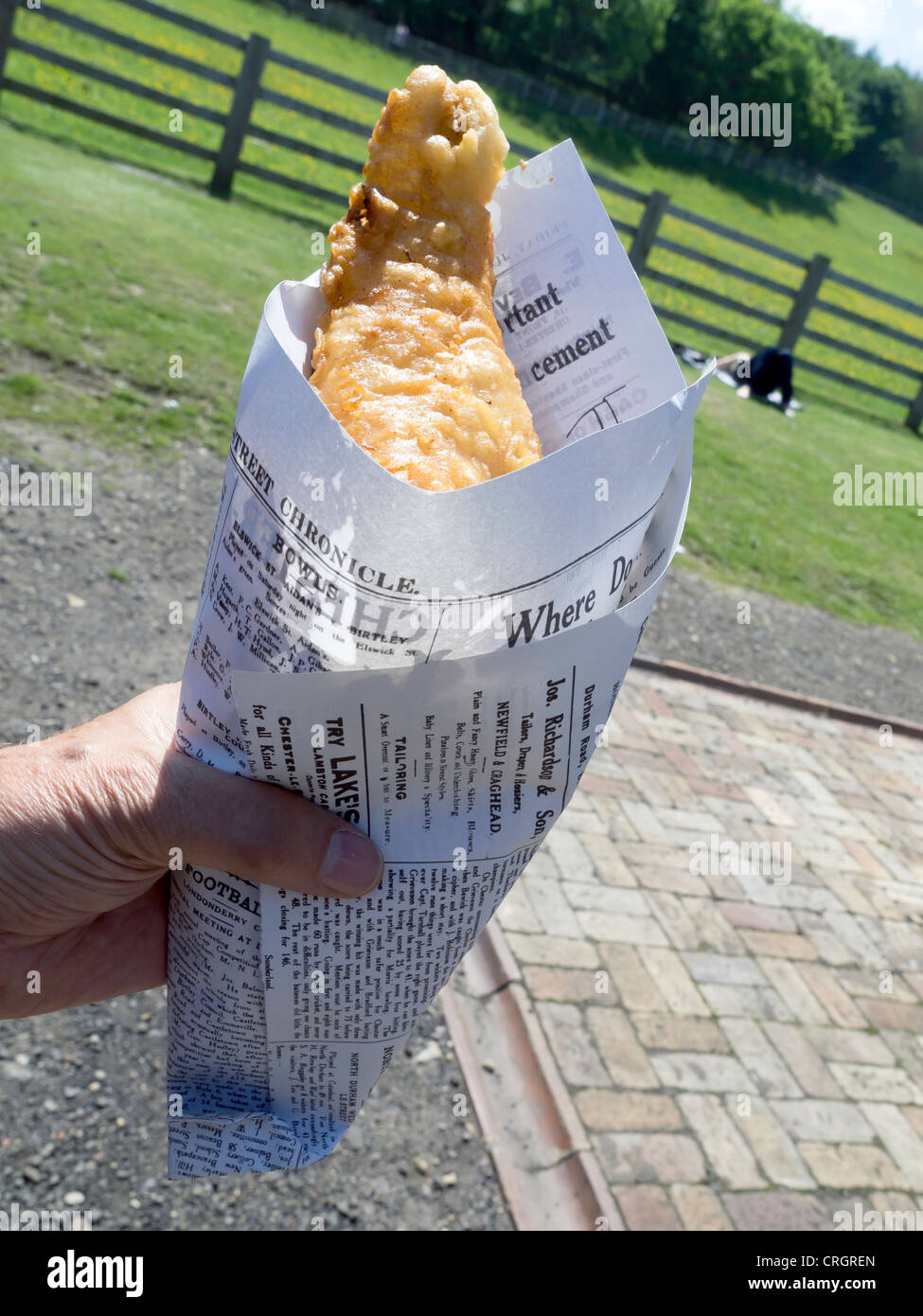 Fish and chips cooked in lard and served in a paper cone in Davy's Fish