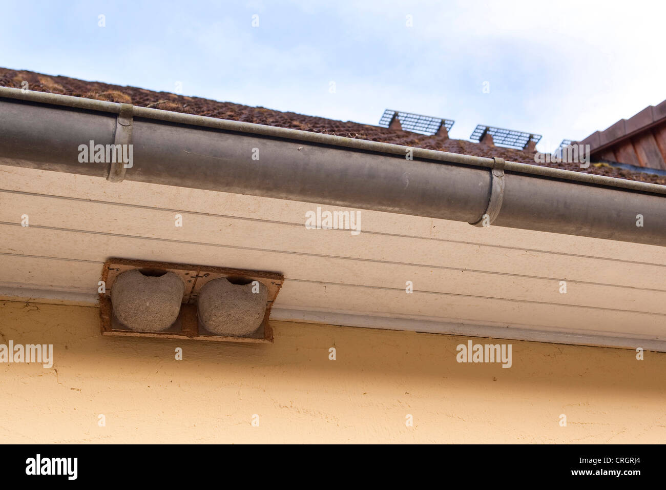 nestboxes for swallows; artifical nests for swallows at facade, Germany Stock Photo