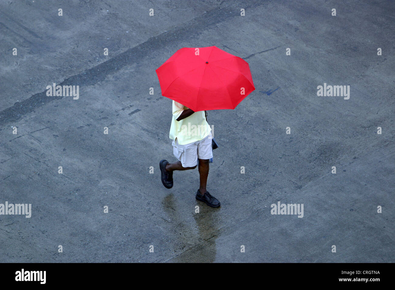 Umbrella birds costa rica hires stock photography and images Alamy