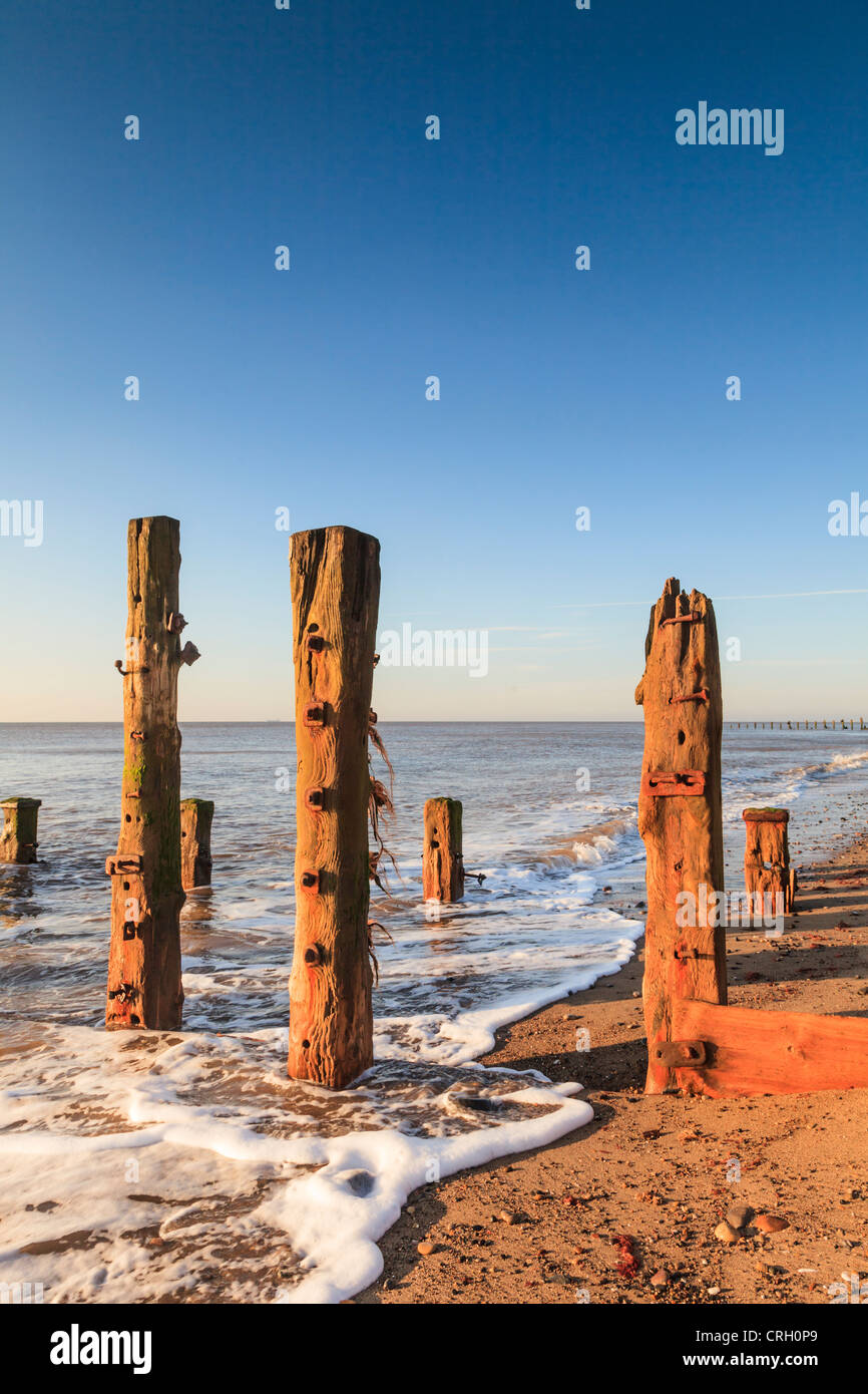 Old sea defences at dawn. Stock Photo