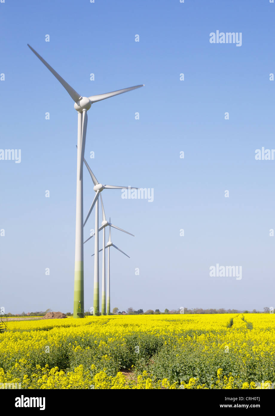 Wind turbines in a line against a blue sky in a yellow field Stock ...