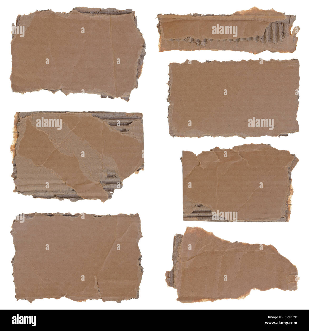 Torn into pieces hires stock photography and images Alamy Torn into pieces hires stock photography and images Alamy