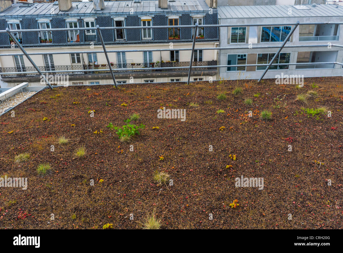 Paris, France, Green Roofs, New Green office Building, "Green One ZAC