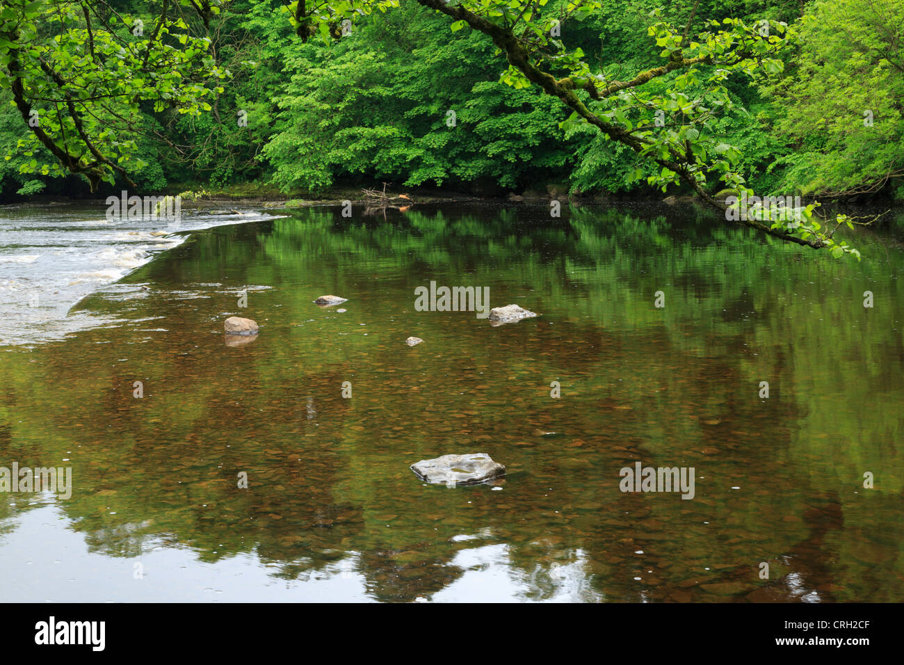 Still waters of the River Ure above Aysgarth Falls, Yorkshire Stock Photo